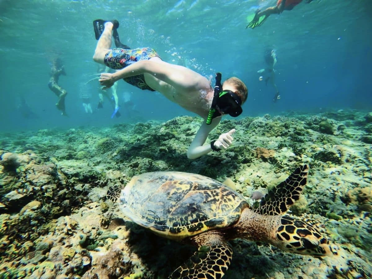 Tour Privado de Meio Dia de Snorkeling nas Gili Islands, Lombok