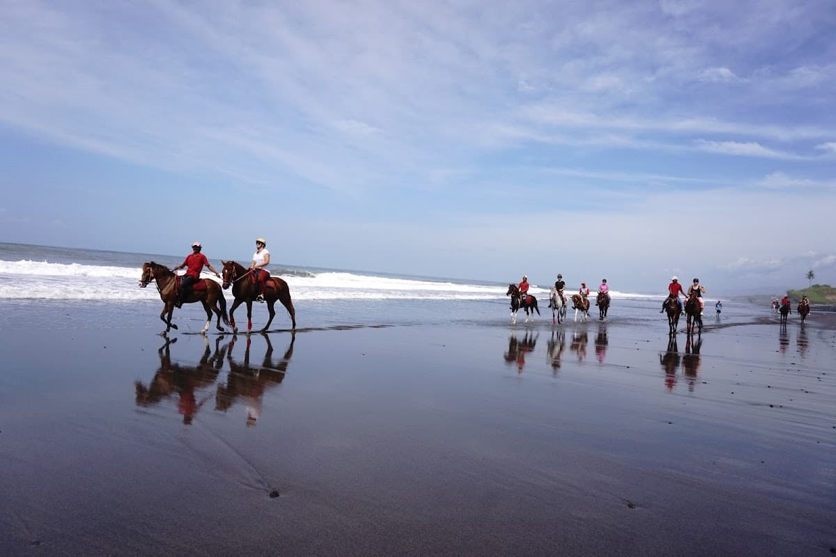 Horse Riding Experience in Bali