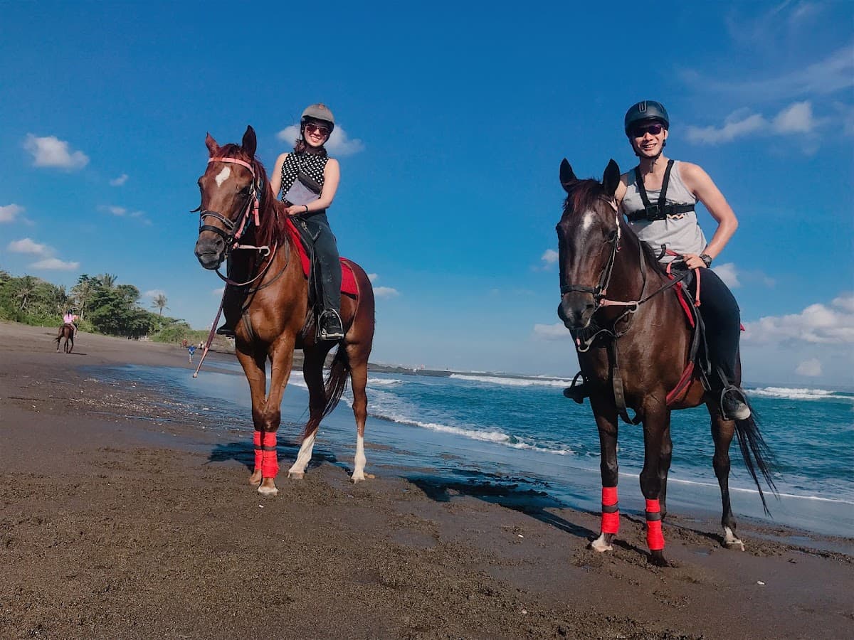 Horse Riding Experience in Bali