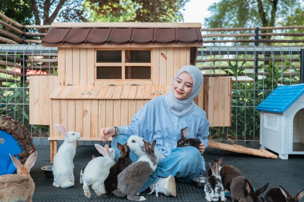 Jagat Satwa Nusantara - Farm House