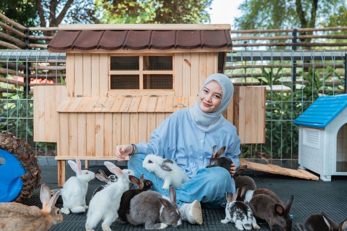 Jagat Satwa Nusantara - Farm House