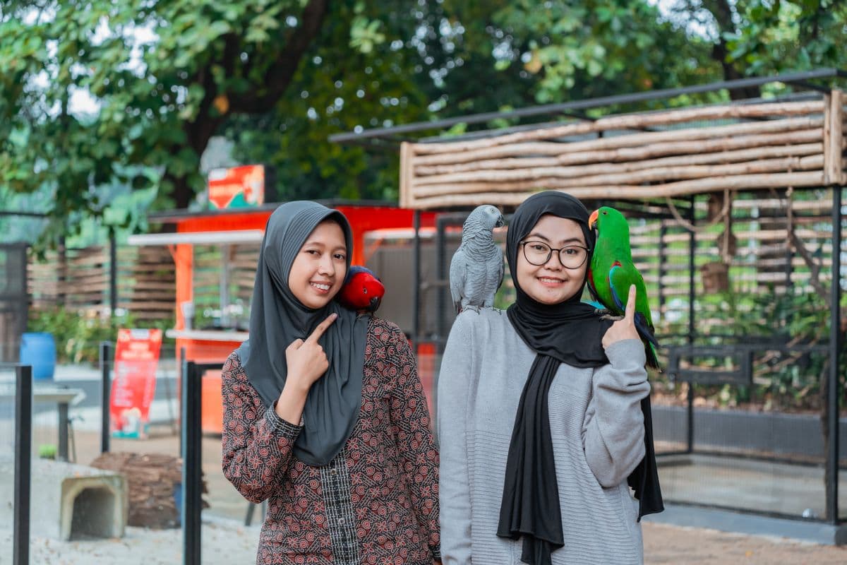 Jagat Satwa Nusantara - Farm House