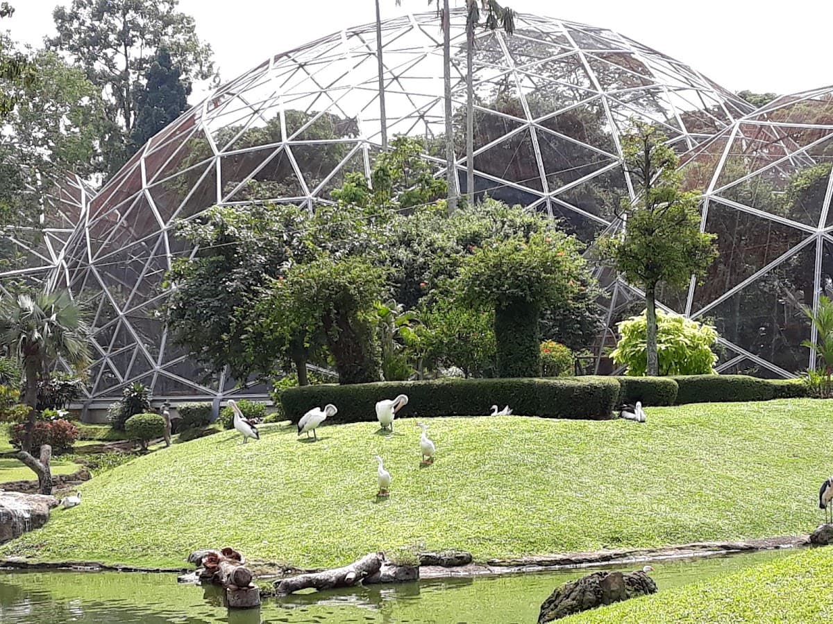 Jagat Satwa Nusantara - Taman Burung
