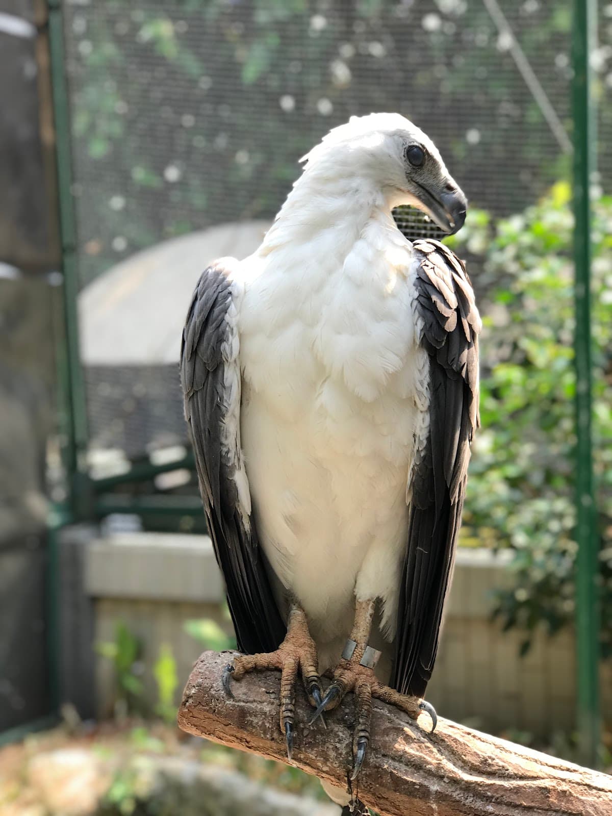 Jagat Satwa Nusantara - Taman Burung