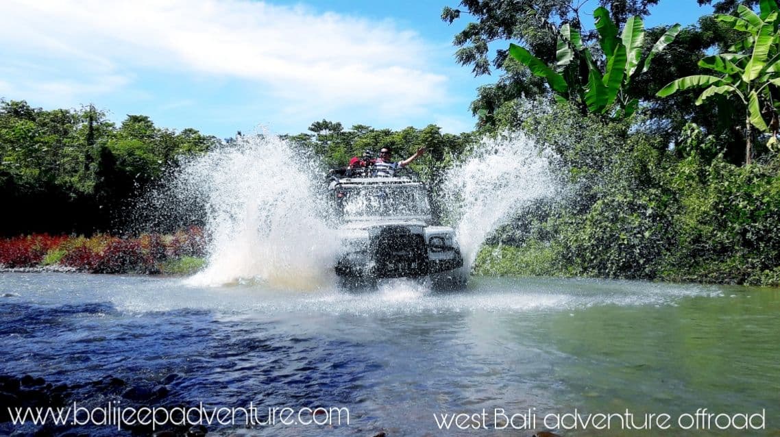 Jungle Buggy Ride & ATV Quad Combo – Epic Off-Road Bali Adventure