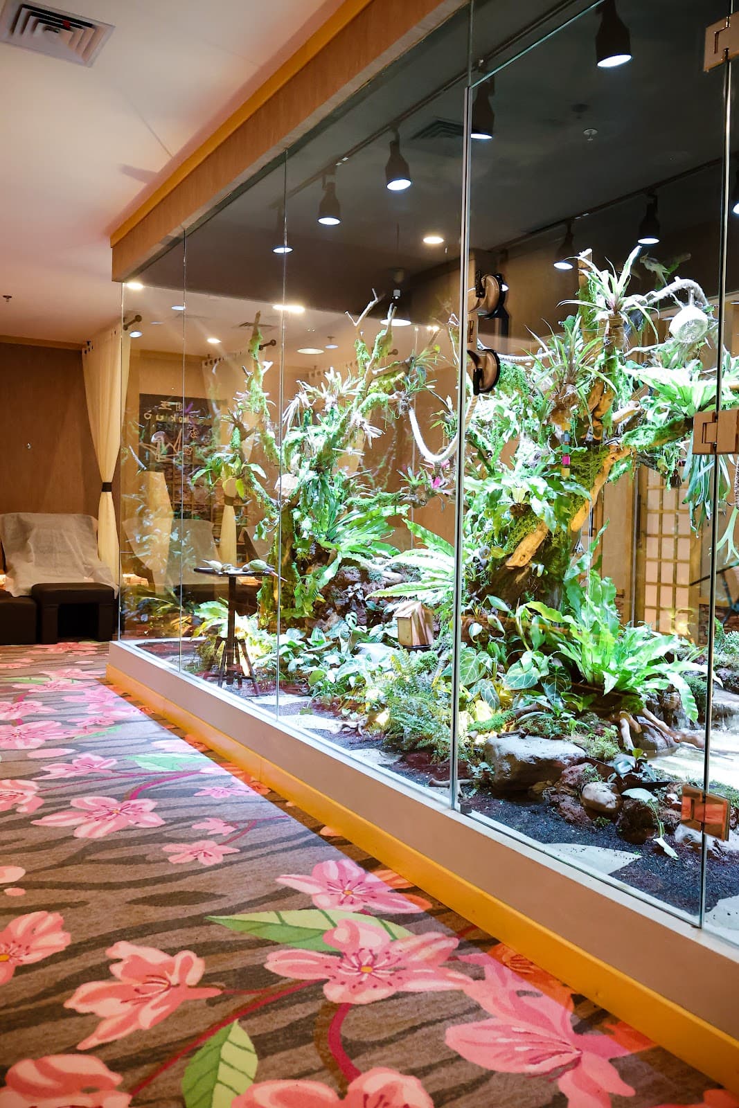 Kokuo Family Massage & Reflexology - AEON Mall BSD City