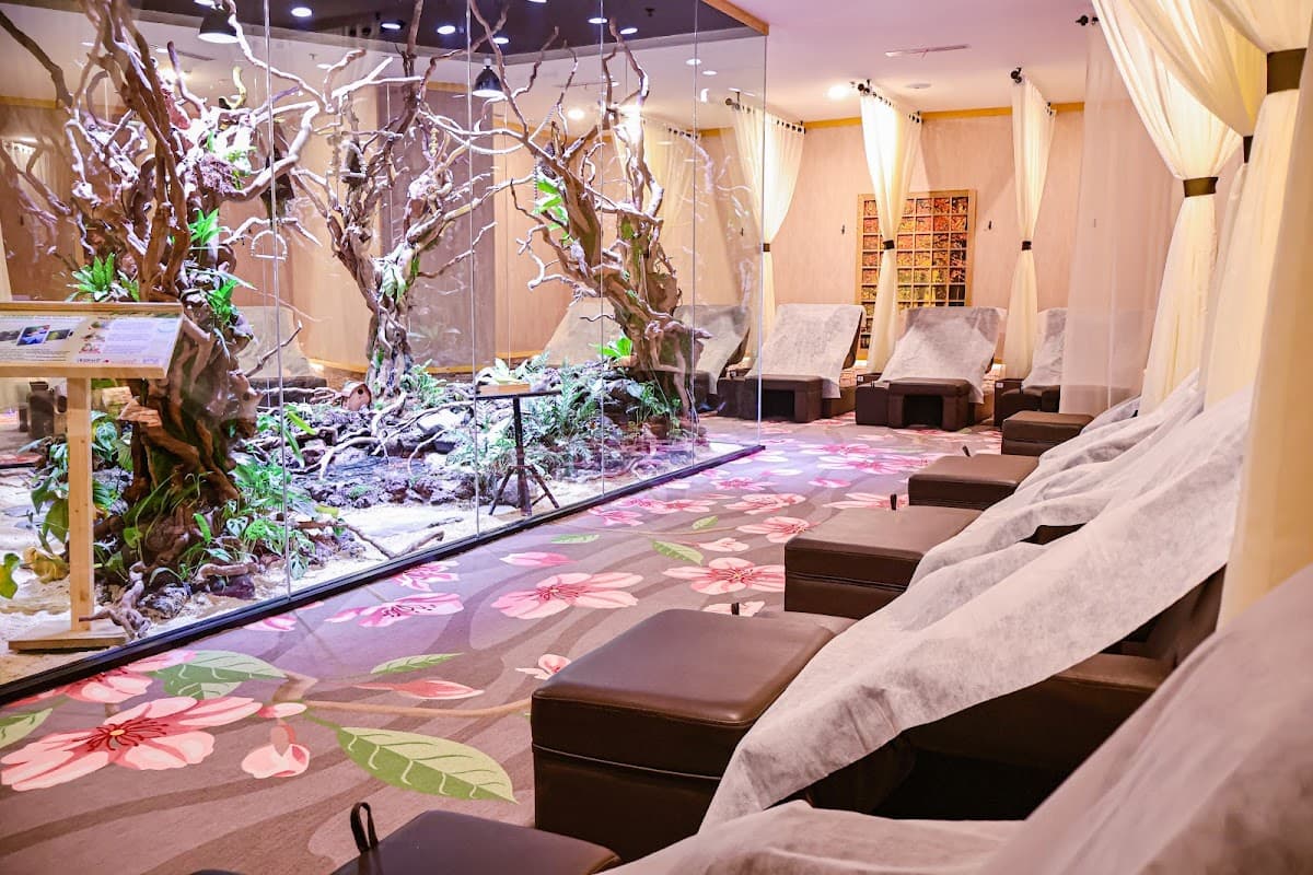 Kokuo Family Massage & Reflexology - Pacific Place (6º andar)