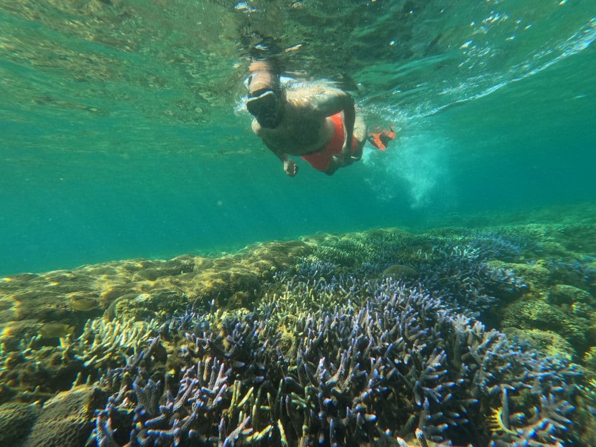Lombok : Private Snorkeling Gili Asahan, Gili Goleng, Gili Layar and Gili Gede