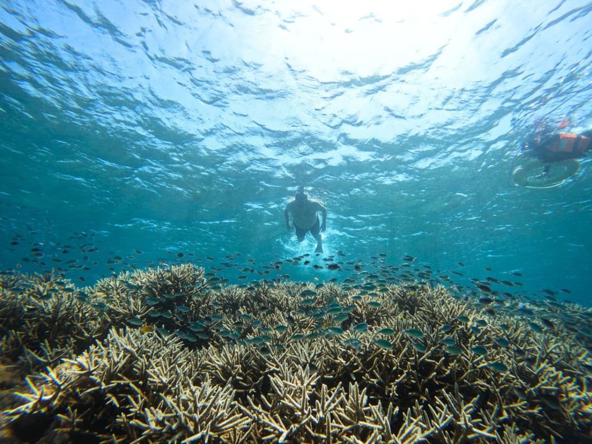 Lombok : Private Snorkeling Gili Asahan, Gili Goleng, Gili Layar and Gili Gede