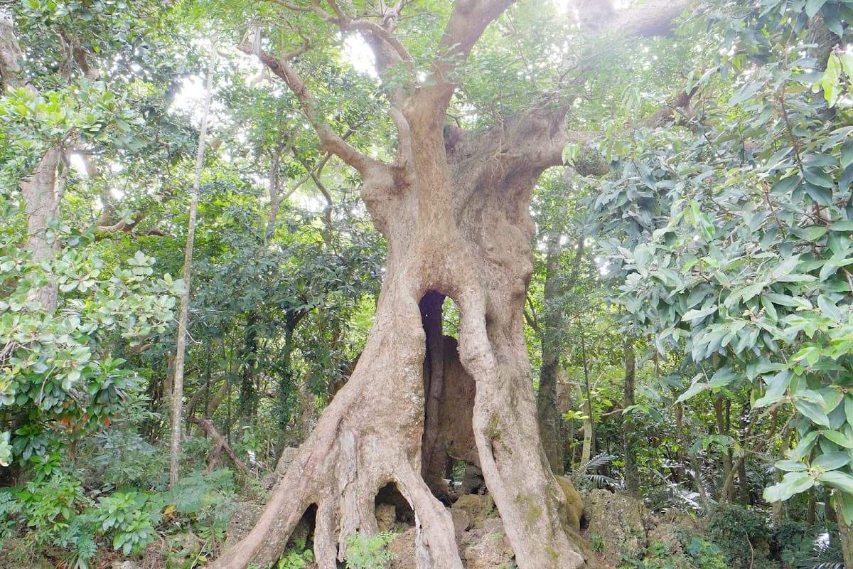 Kenting National Forest Recreation Area