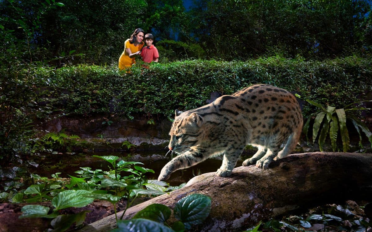 Shared Singapore Attractions Transfers from Hotel