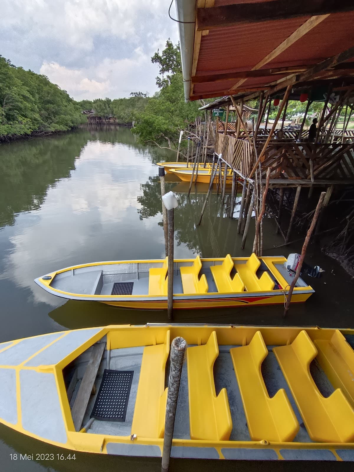 Mangrove or Fireflies Tour in Bintan