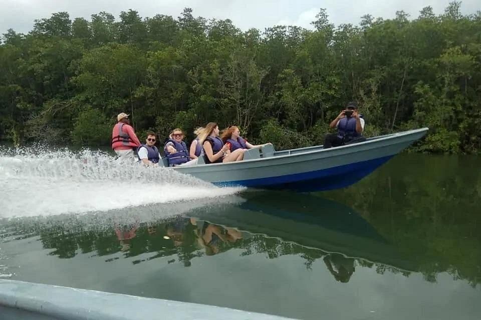 Mangrove or Fireflies Tour in Bintan