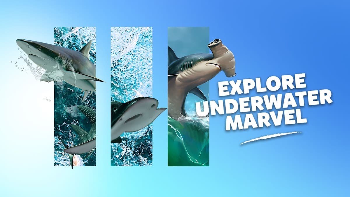 Marine Safari Bali (Oversea)