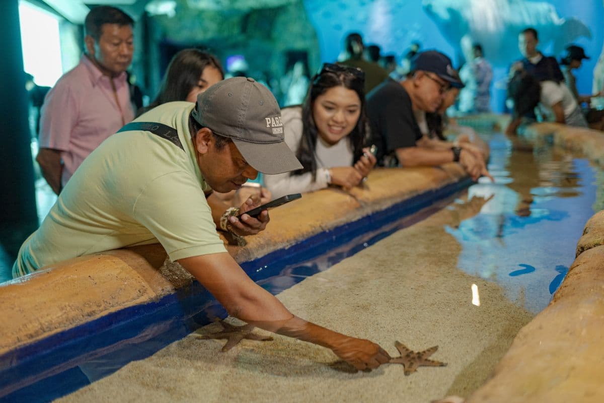 Marine Safari Bali (Oversea)