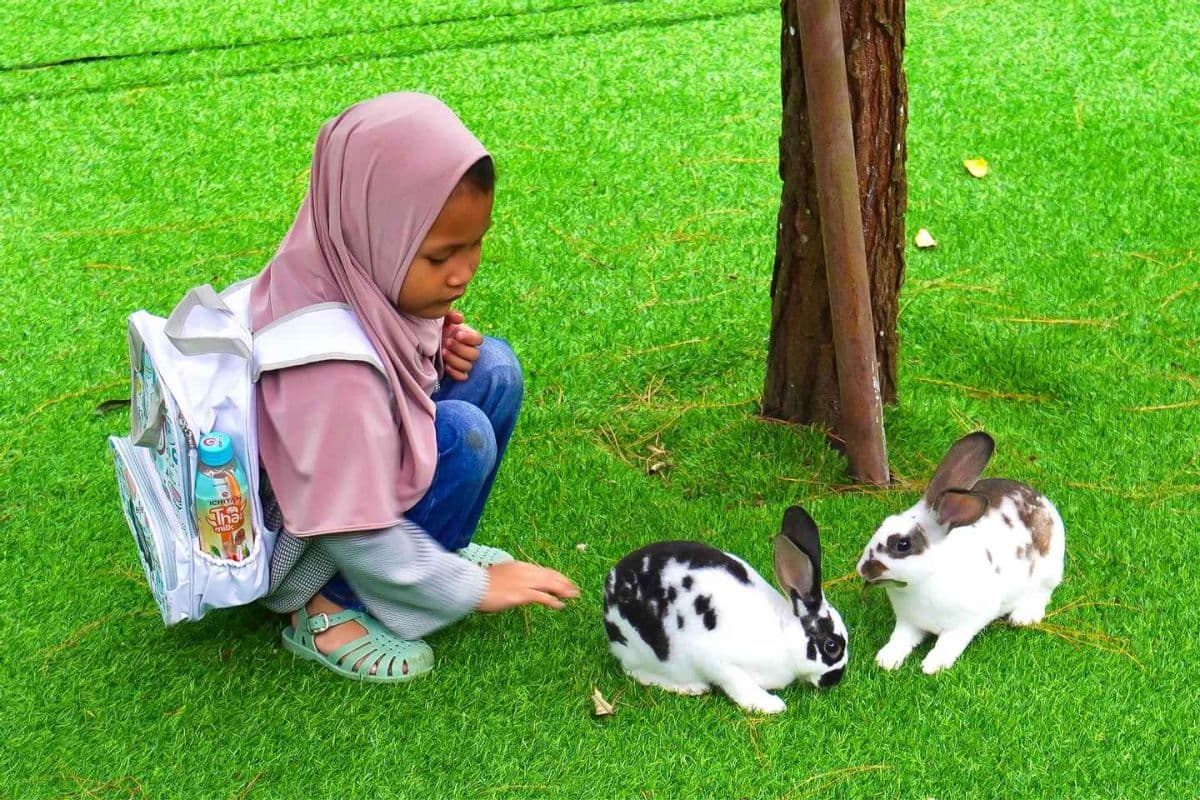 Merapi Park Jogja