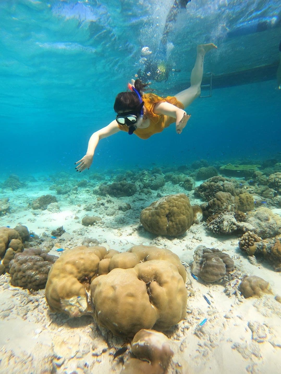 Open Trip Menjangan