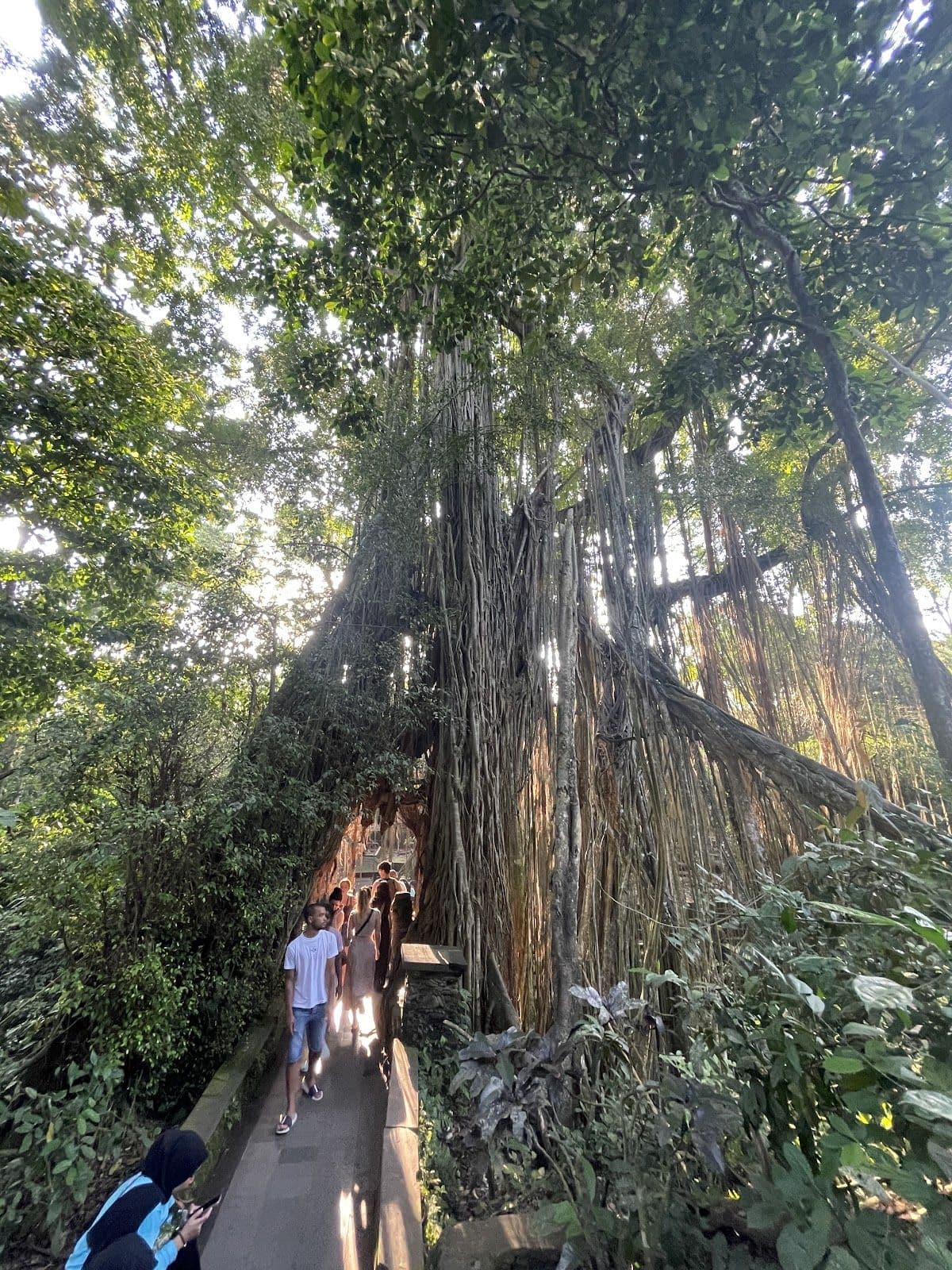 Monkey Forest Entry Ticket  Transfer Included