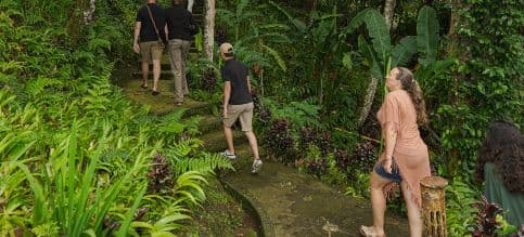 Mount Batukaru Bali Trekking by Alassari