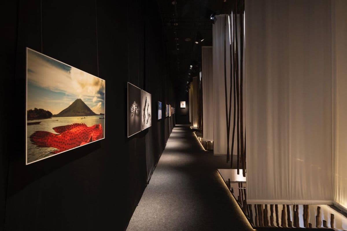 Museum Nasional Indonesia