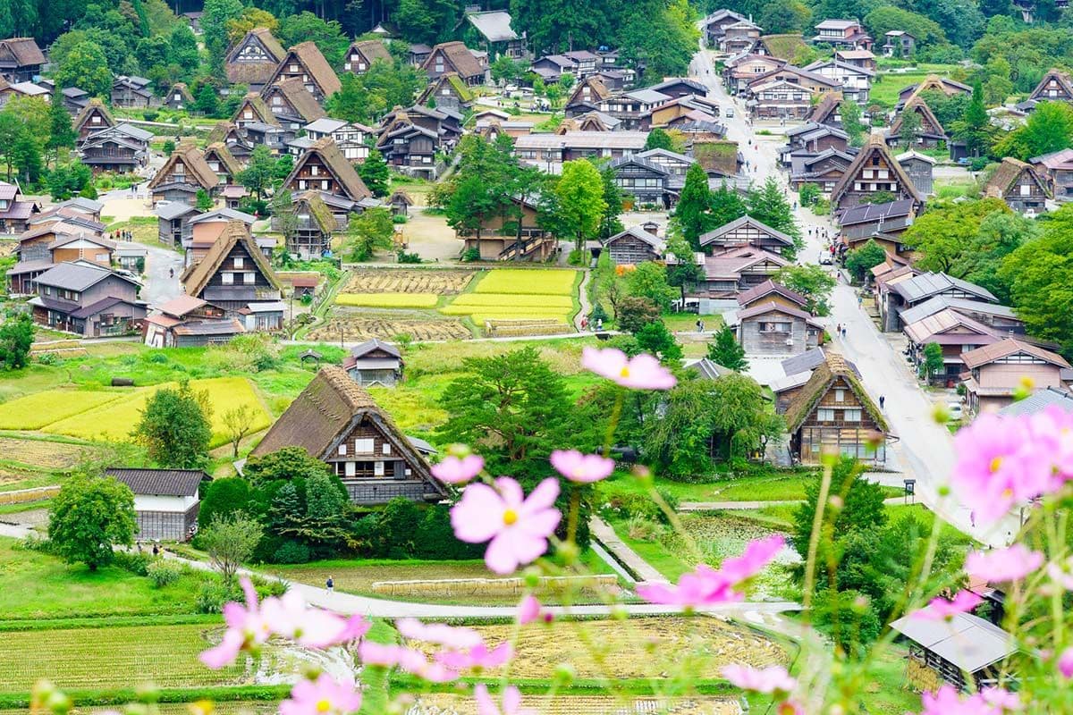 Shirakawa Day Tour from Nagoya: One-day tour of Shirakawa-go with Chinese, English and Japanese guide