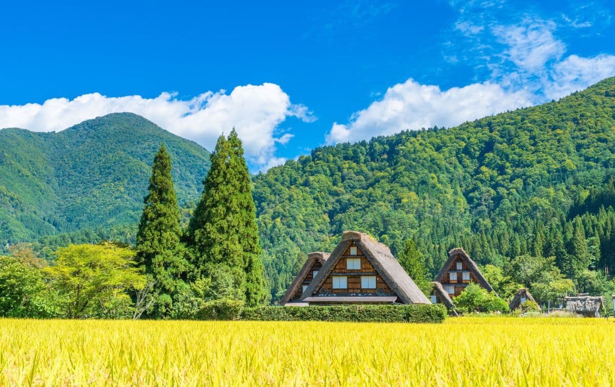 Shirakawa Day Tour from Nagoya: One-day tour of Shirakawa-go with Chinese, English and Japanese guide