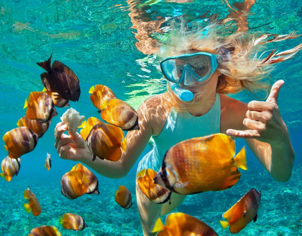 Nusa Penida : 3-4 Spots Snorkeling Tour Manta Rays