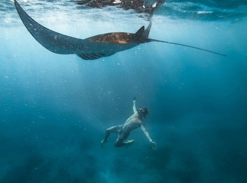 Nusa Penida : Sharing Snorkeling Adventure in Nusa Penida to 4 Spots