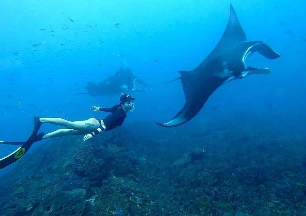 Nusa Penida: Gedeeld snorkelavontuur in Nusa Penida naar 4 locaties