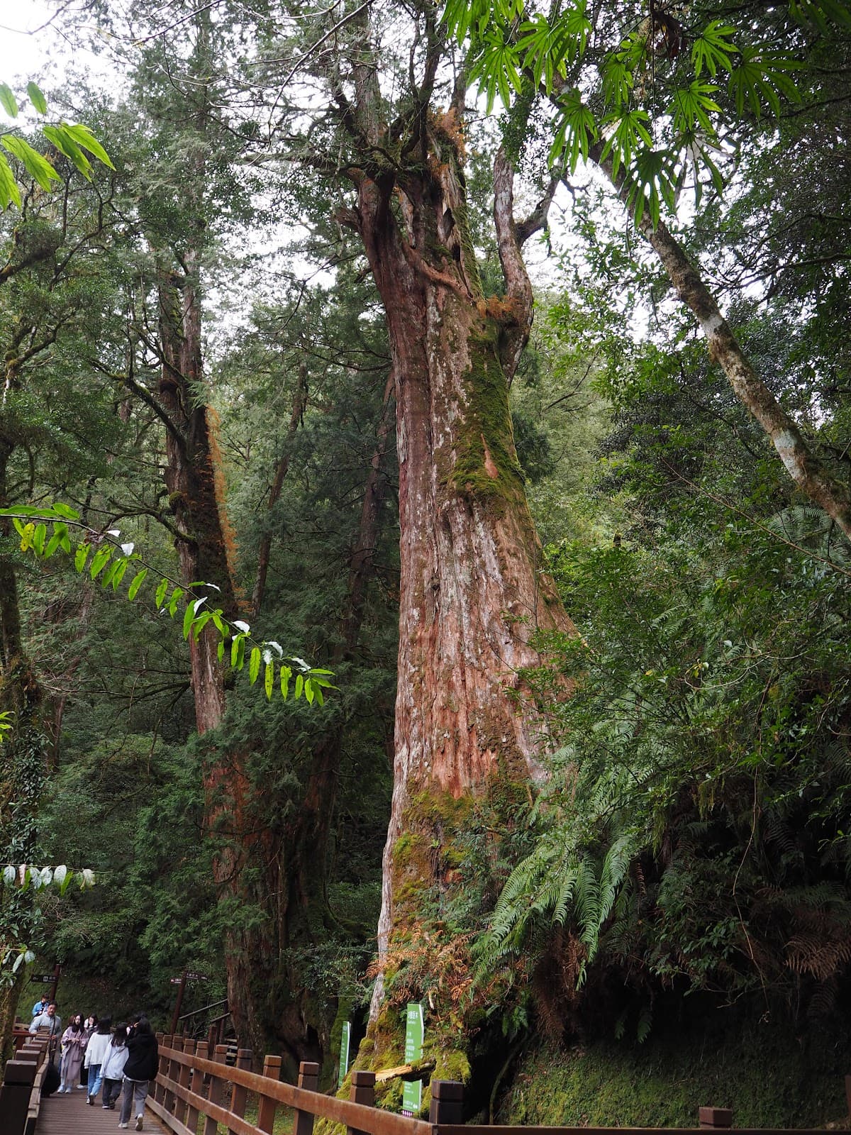 Lala Shan National Forest Recreation Area