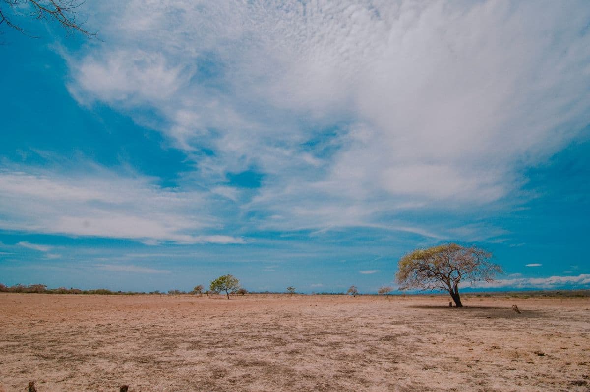 Open Trip Ijen - Baluran