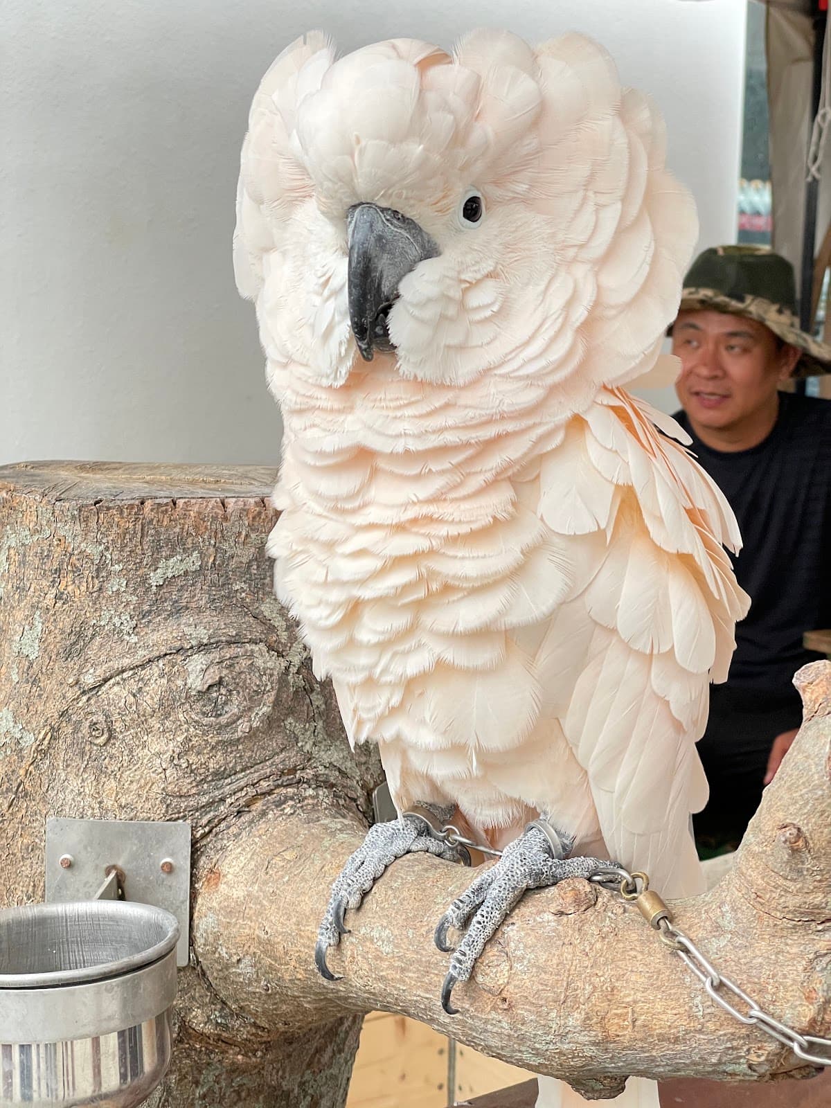 Lanyang Animal and Plant Kingdom