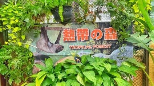 Lanyang Animal and Plant Kingdom