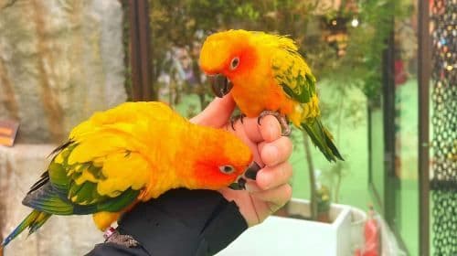 Lanyang Animal and Plant Kingdom