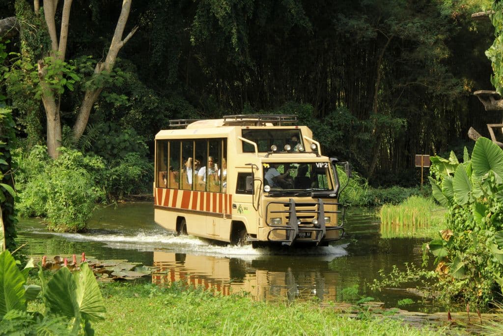 Package Combination by Flamingo Beach Club