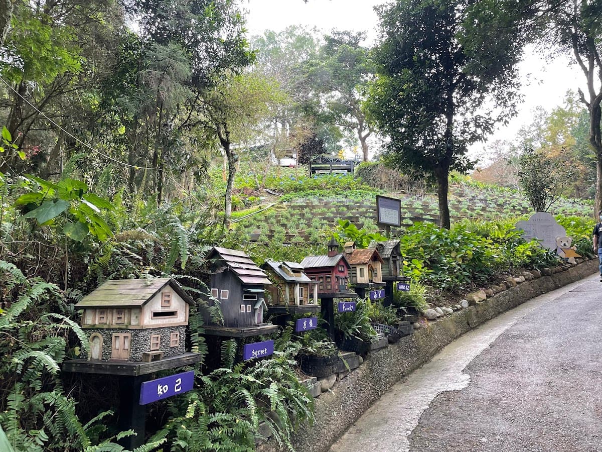 Lavender Forest