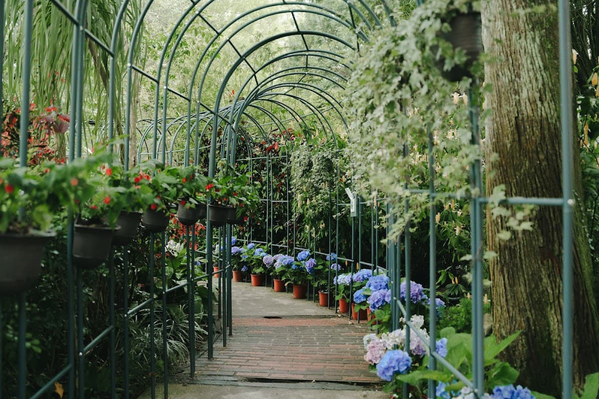Lavender Forest Jianshi Store