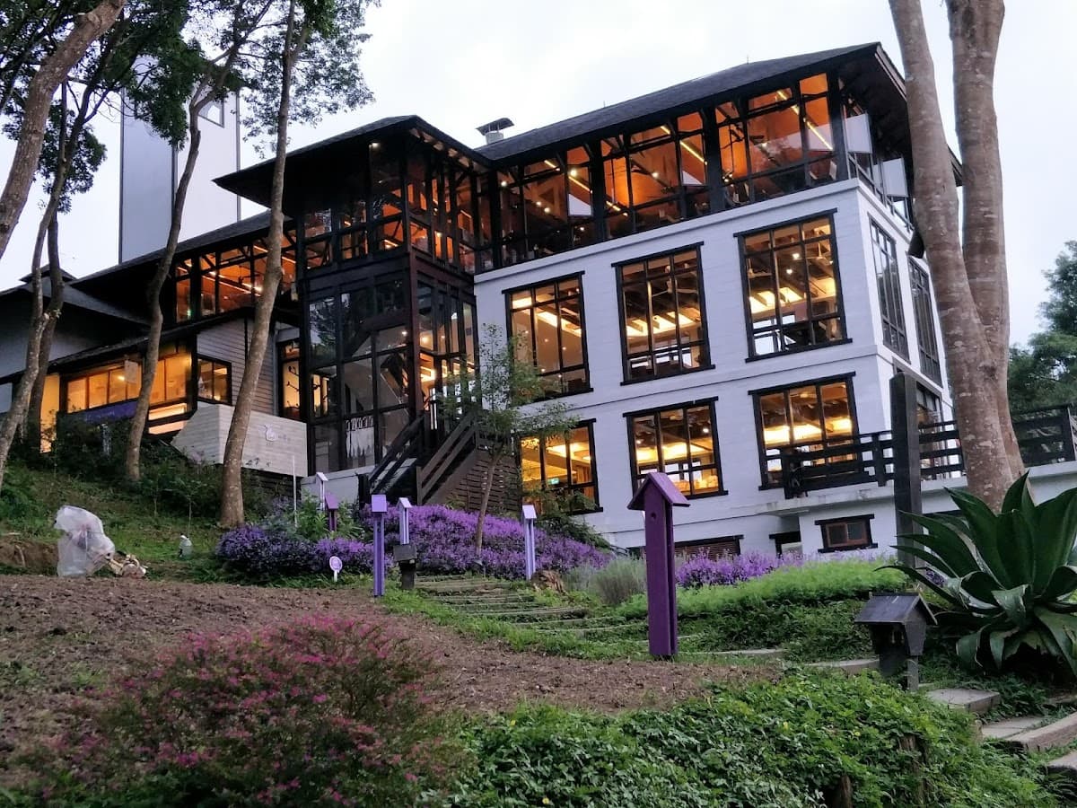 Lavender Forest Jianshi Store