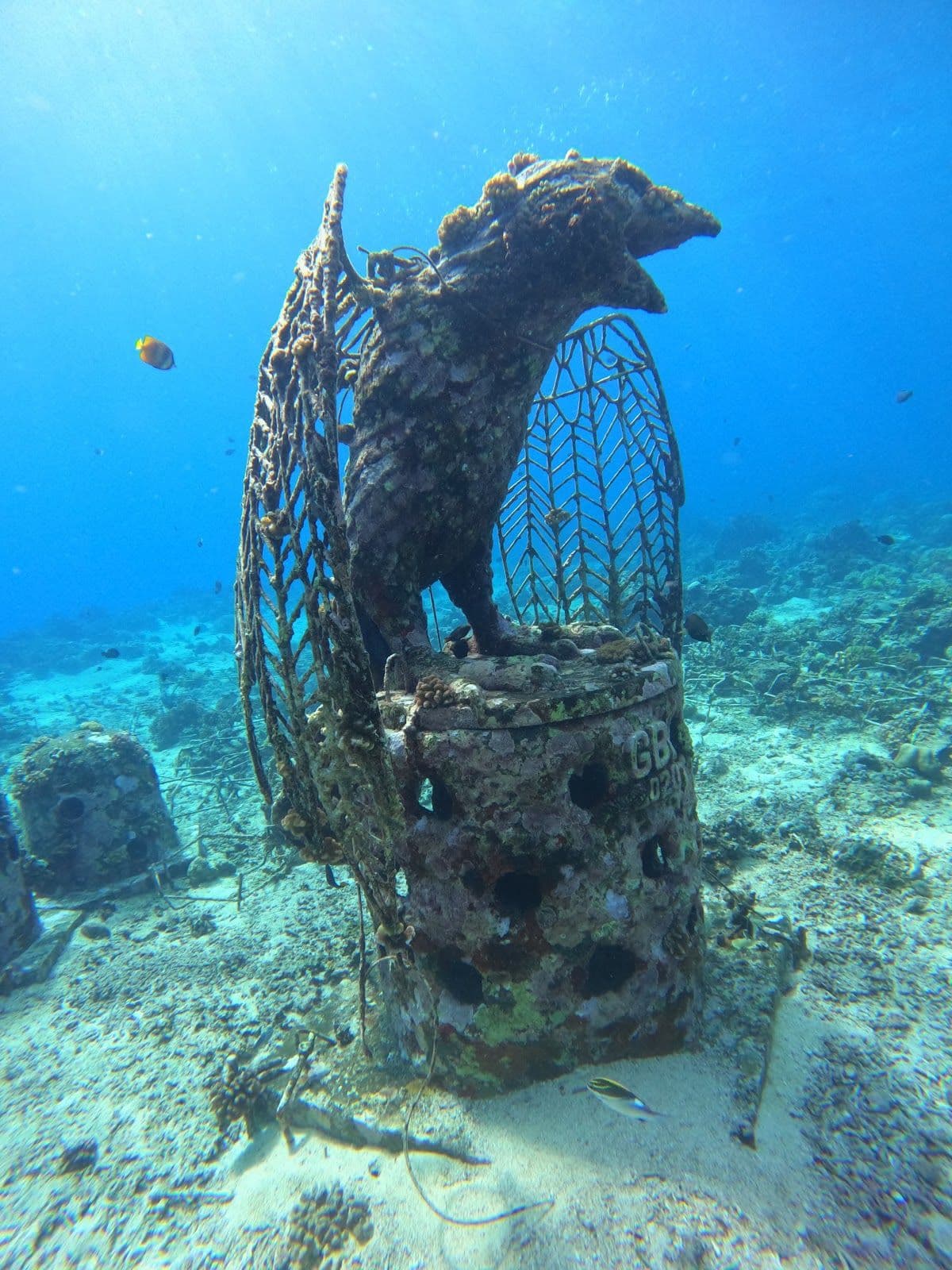 Private Snorkeling Gili Trawangan & Gili Meno Start Point Gili Trawangan