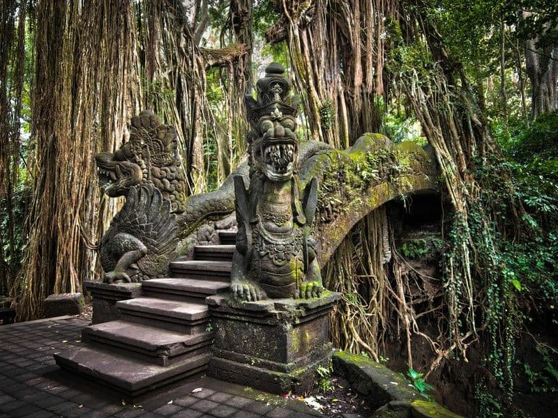 Sacred Monkey Forest Ubud