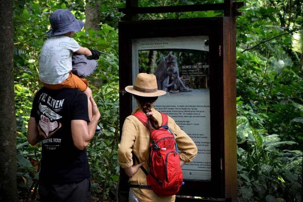 Sacred Monkey Forest Ubud