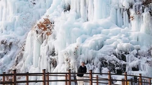 Eobi Ice Valley & Nami (+ Light Festival, Railbike, Alpaca) Day Tours