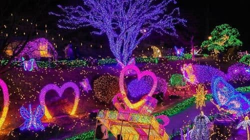 Eobi Ice Valley & Nami (+ Light Festival, Railbike, Alpaca) Day Tours