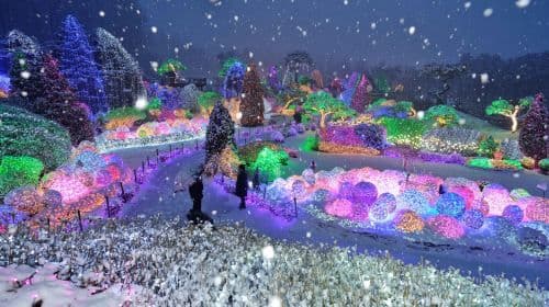 Eobi Ice Valley + Alpaca World + Nami Island + The Garden of Morning Calm – jednodniowa wycieczka (z Seulu, oferta zimowa) Wycieczki jednodniowe