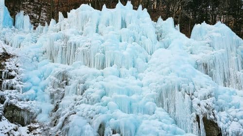 Eobi Valley Glacier x Nami Island x Le Petit Prince Italian Village x Five-Colored Star Garden Morning Calm Arboretum Day Tours