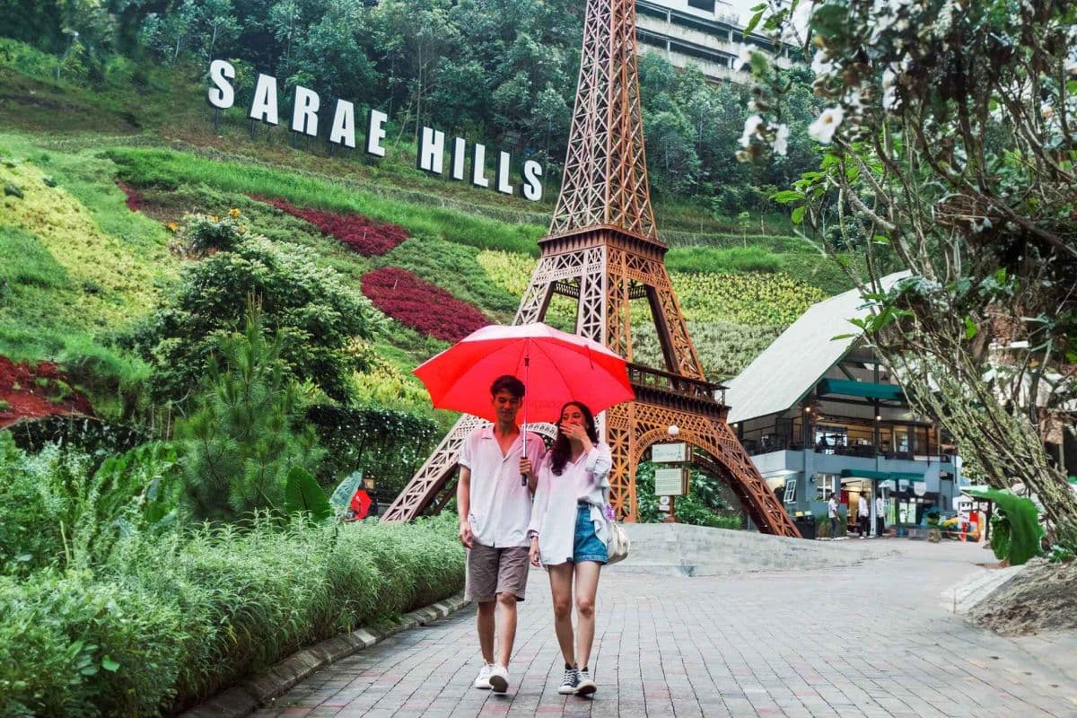 Sarae Hills