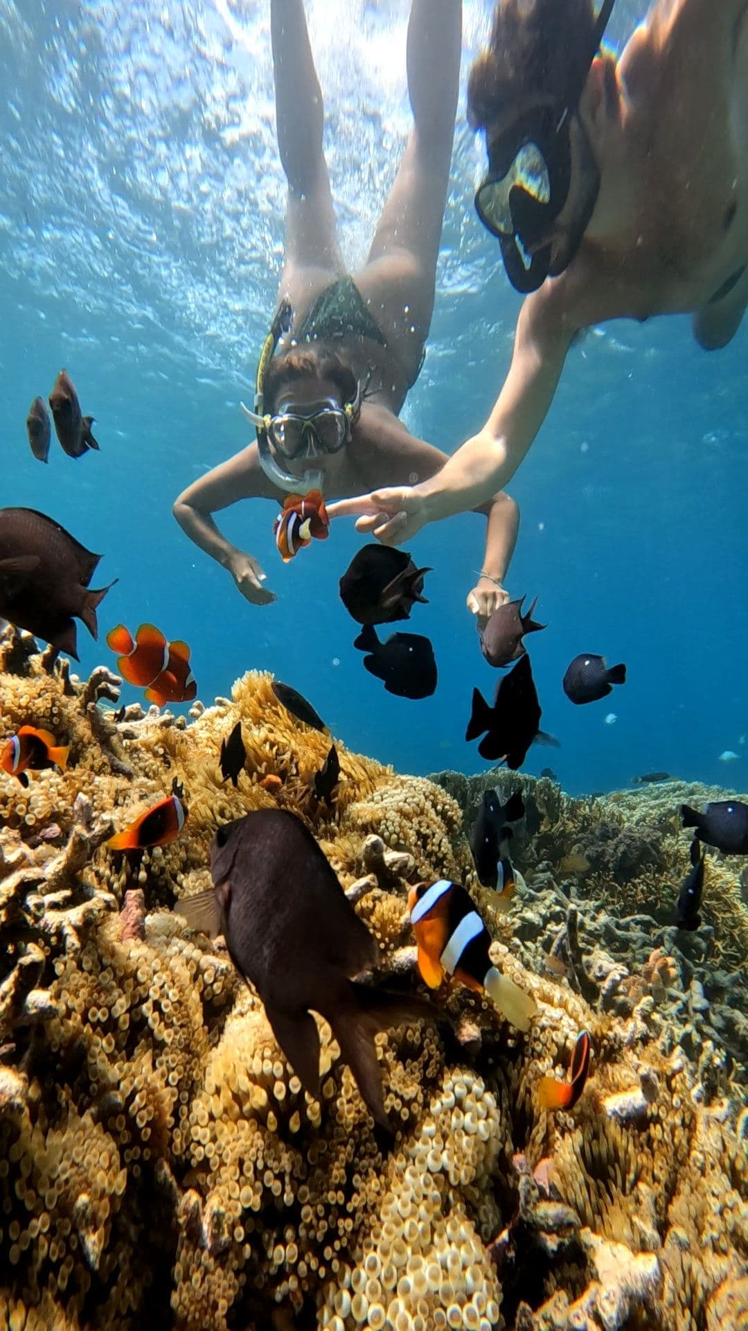 Secrate Island Private Snorkling Tour in lombok with go pro