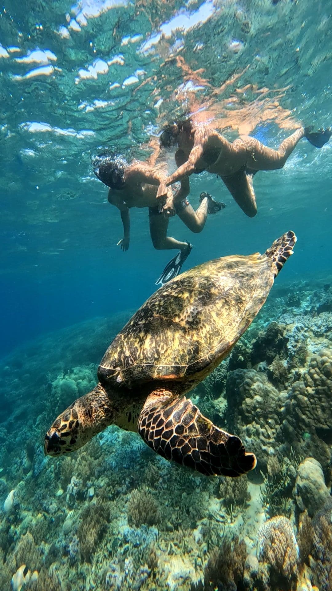 Secrate Island Private Snorkling Tour in lombok with go pro