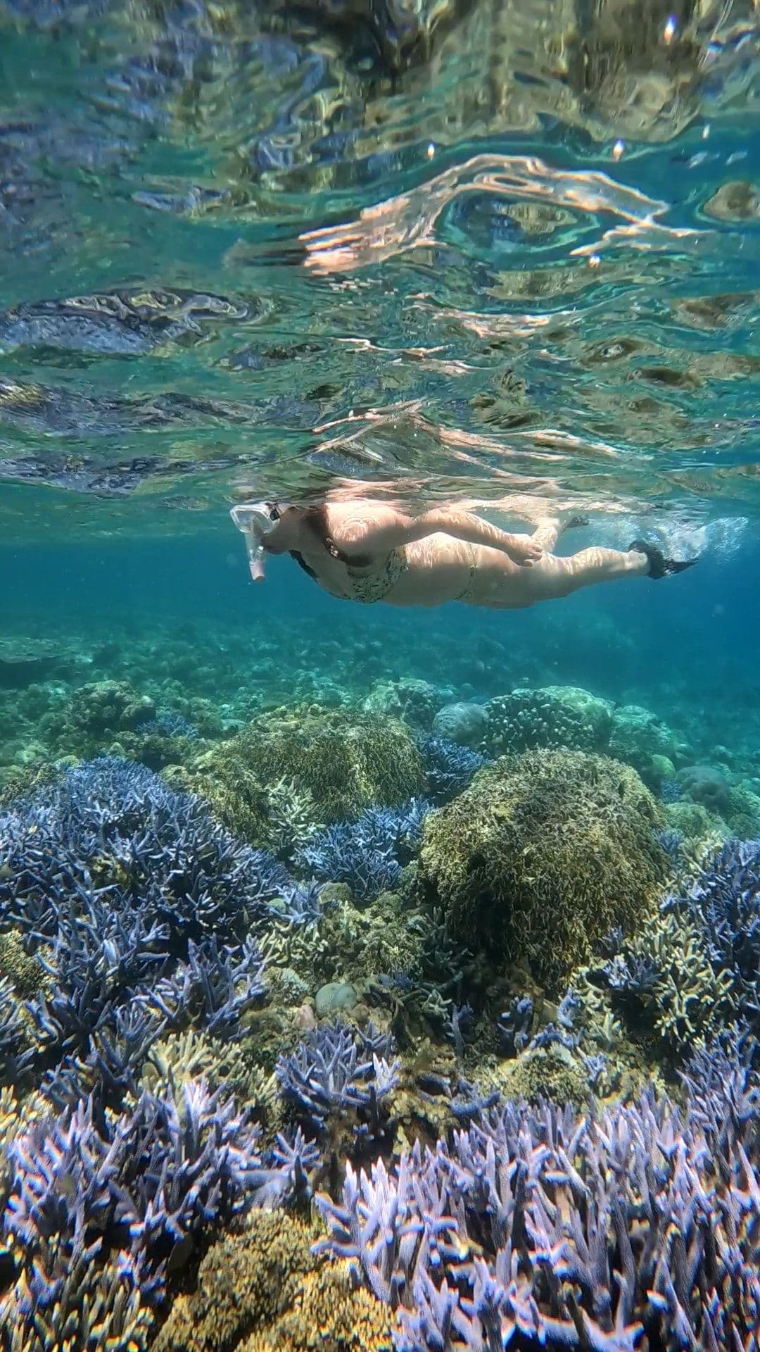 Private Schnorcheltour zu den Secret Gilis in Lombok mit GoPro