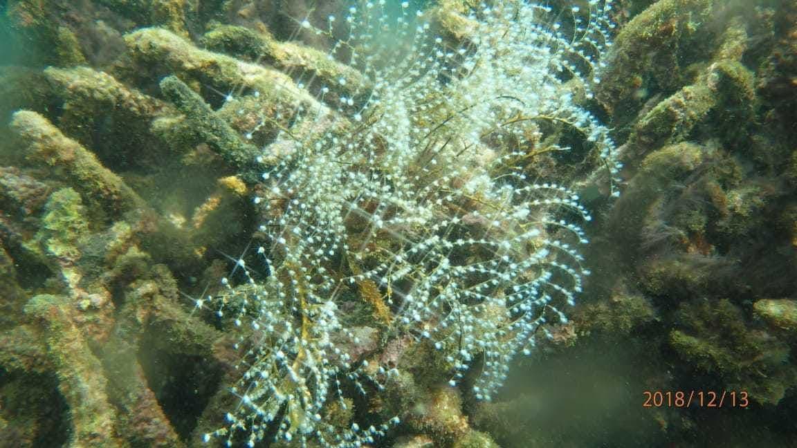 Secret Island Hopping Tour Ciletuh